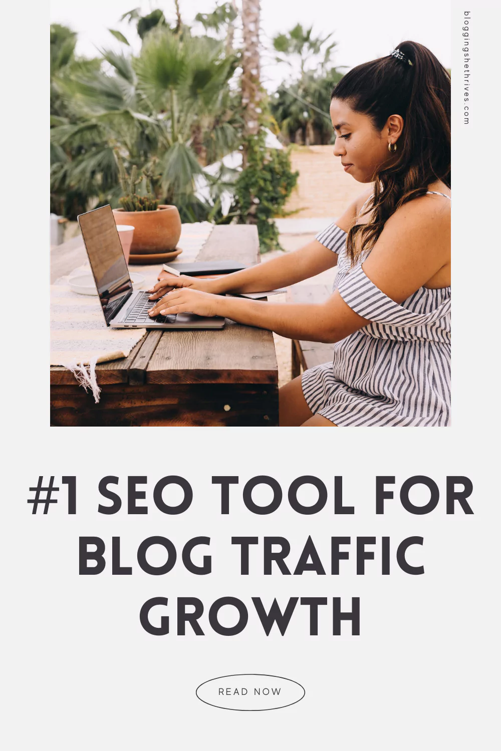How to Use RankIQ: #1 SEO Tool for Blog Traffic Growth